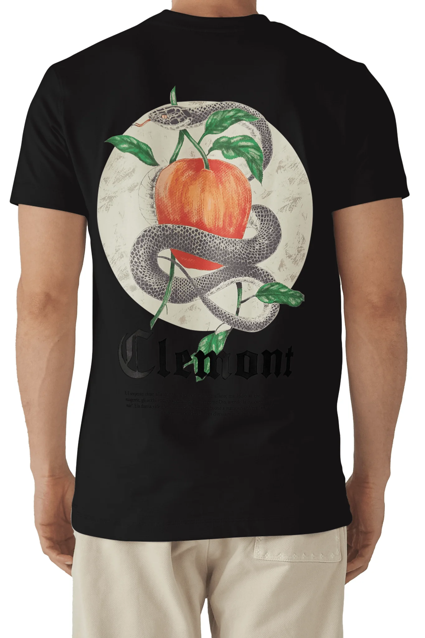 Imagen del producto 3